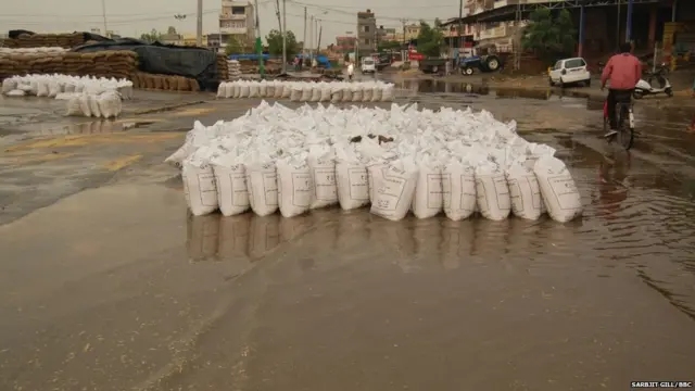 ਫਗਵਾੜੇ ਦੀ ਮੰਡੀ 'ਚ ਭਿੱਜੀ ਪਈ ਕਣਕ