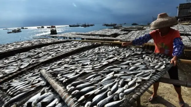 Риба і рибалка на узбережжі