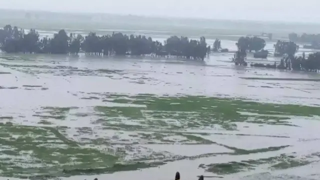 Kibba Gondar aanaa Liiboo Kamkamtti hidhi Rib guutee dhangala'uun qabeenya mancaasuu.