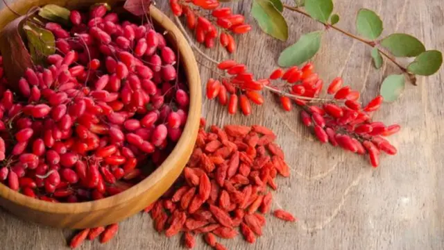 Goji Berry