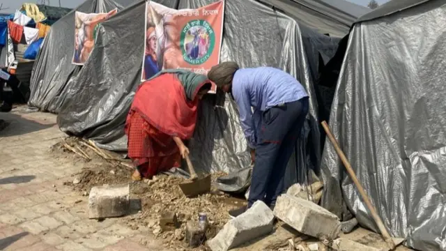 Sonia Mann na taimakawa kafa tantuna