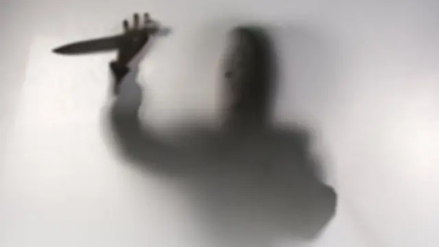 Pembunuhan dukun santet 1998-1999 Banyuwangi, ninja, kiai, orang gila, dukun santet, pembantaian dukun santet 1998 di Banyuwangi