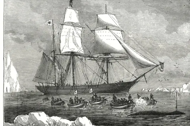 Una ilustración de un barco mercante