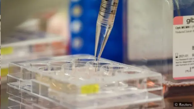 కోవిడ్ పరిశోధనలు