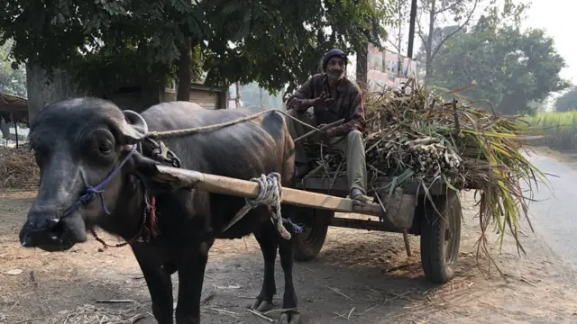 'खेती तो एक सीज़न की नष्ट होगी, क़ानून तो भविष्य ही चौपट कर देगा'