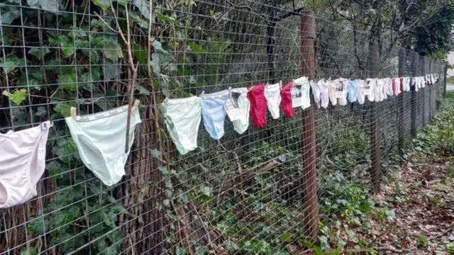 Underwear line the fence of South Africa's Archbishop Thabo Makgoba's residence
