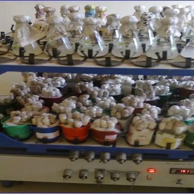 प्लॅस्टिक विघटन करणाऱ्या बुरशी