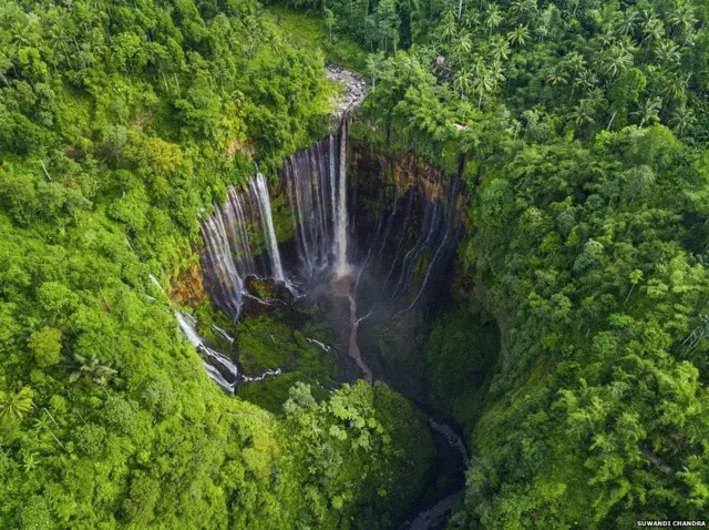 Tumpak Sewu Waterfall, Indonesia, International Garden Photographer of the Year