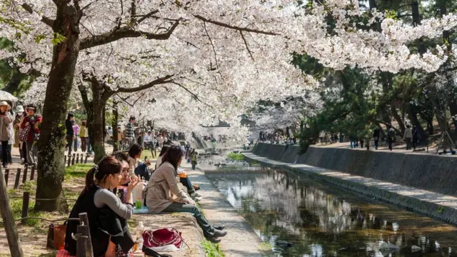 يتبادل اليابانيون عبارة "سومي ماسين" مرارا كل يوم تأدبا واحتراما