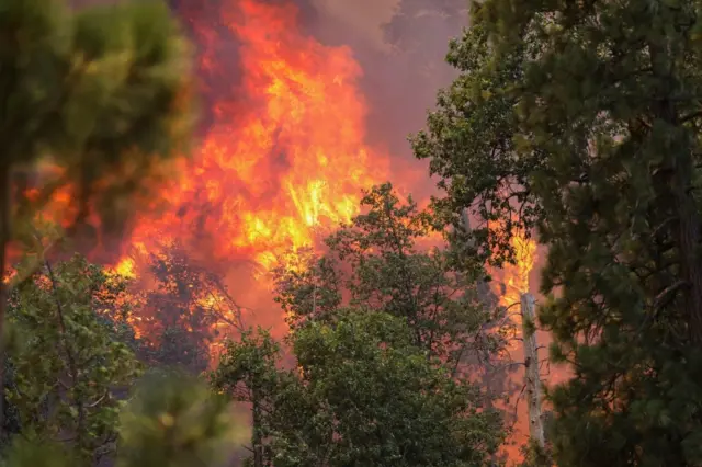 ไฟป่าแคลิฟอร์เนีย