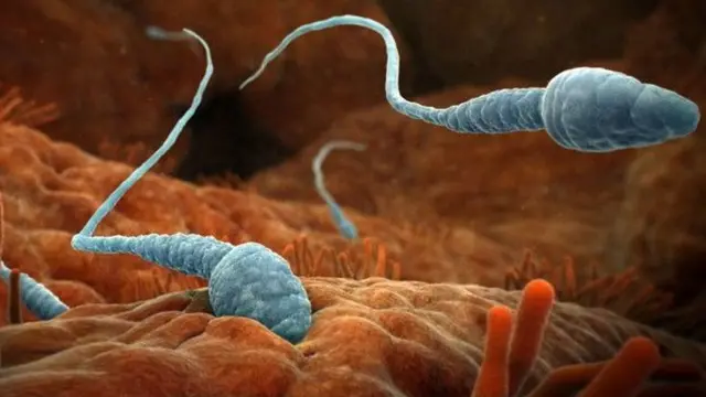 আইভিএফ ব্যয়বহুল বলে ব্রিটেনে অনেক নারী ফেসবুক থেকে খুঁজে নিচ্ছেন শুক্রাণু দাতা