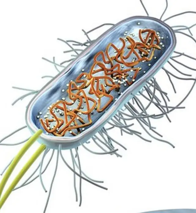 Utunyabuzima duto cyane tumwe na tumwe dushobora kubaho ahantu hagoye cyane mu myaka myinshi cyane