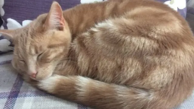 Screen grab of tweet by @John_FusionPR