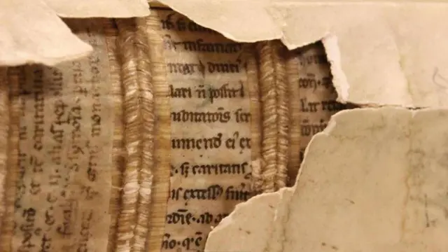 LIbros descubiertos por Erik Kwakkel