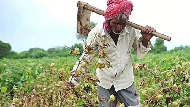 ગુજરાતમાં ખેતી