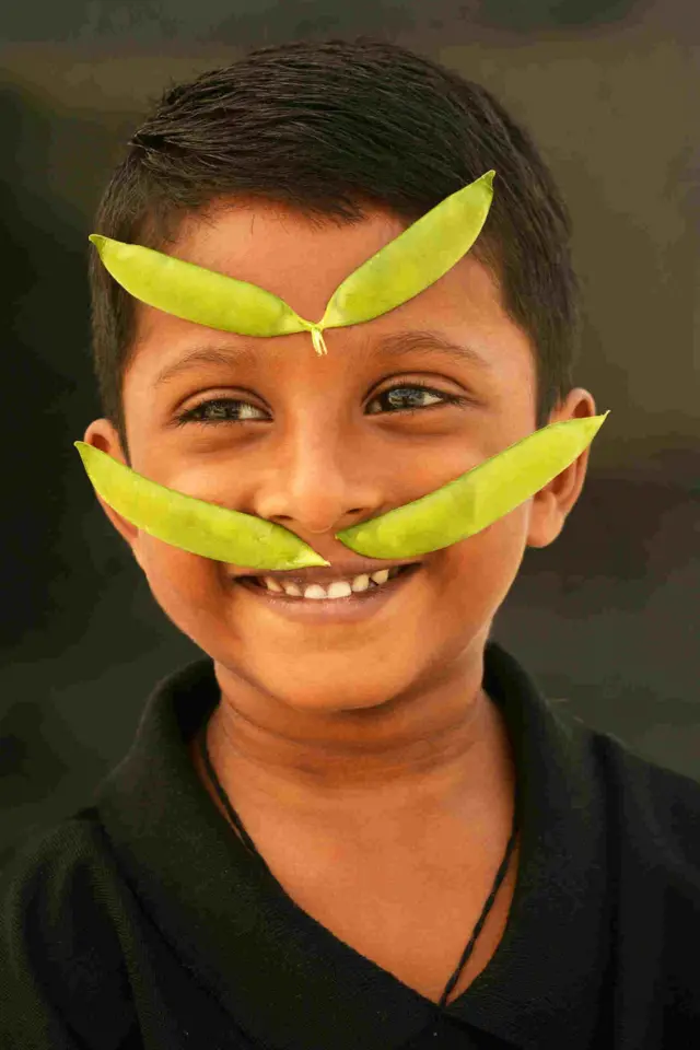 தனசேகரன்