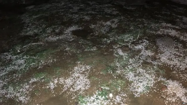 ਚੰਡੀਗੜ੍ਹ ਵਿੱਚ ਗੜ੍ਹੇਮਾਰੀ