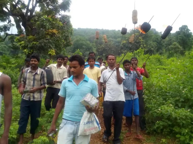 हाथी, झारखंड