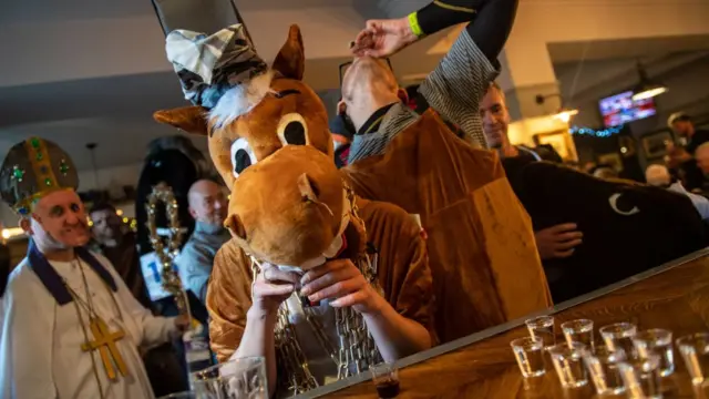 лошадь в баре