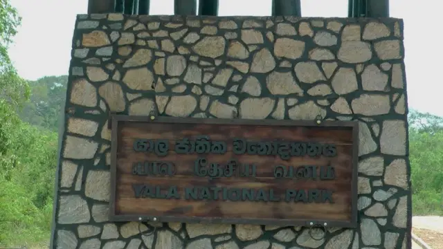 අභය භූමියක් තුළ 'එක සෆාරි ජීප් හිමියන්ට, දෙක සතුන්ට'