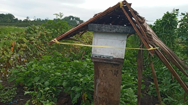Agriculture Sri Lanka