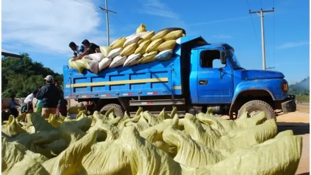 မြန်မာ့ပဲ ပြည်ပ တင်ပို့မှုမှာ အိန္ဒိယကို အဓိက အားထားနေရ