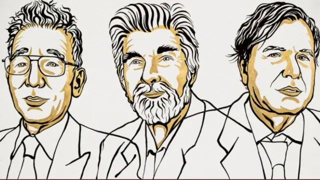 جورجو پاریسی، کلاوس هاسلمان و سیوکورو مانابه