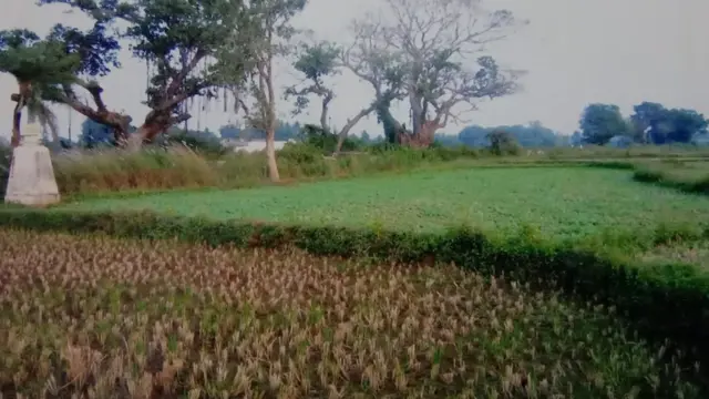 వీర గున్నమ్మ