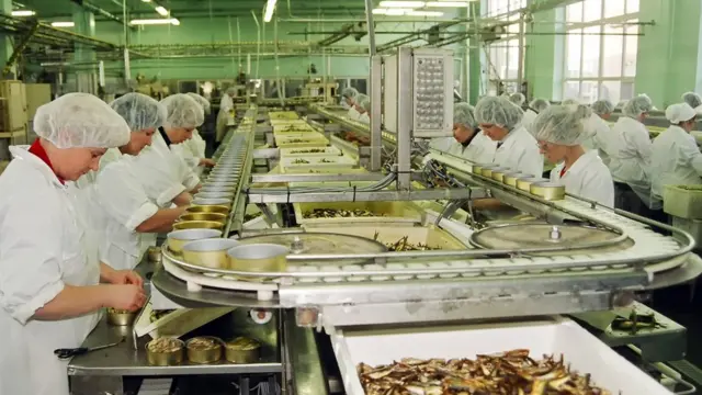 Сотрудники рыбозавода перебирают шпроты