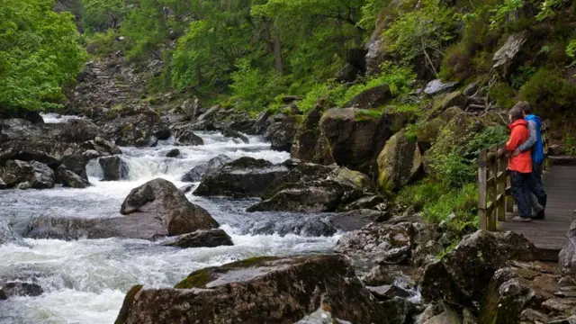 В 2007 году "cwtch" было признано самым любимым словом в Уэльсе