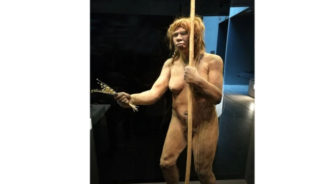 неандертал аёл