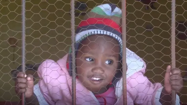 జాలీలోంచి తొంగి చూస్తున్న చిన్నారి