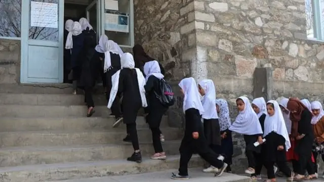 نجونې