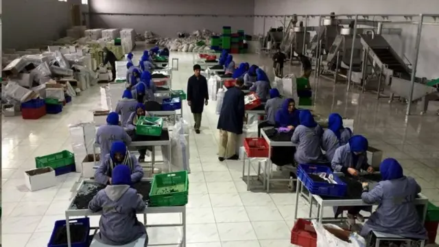 افغانستان، تولیدات داخلی، خودکفایی