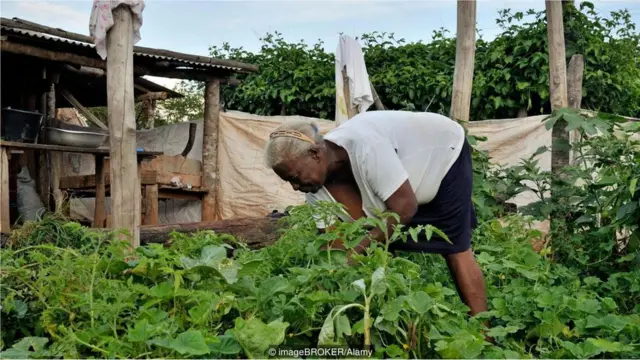 ब्राज़ील