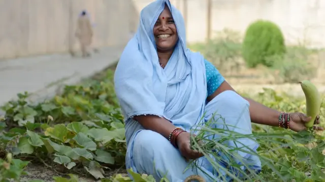 नारीबंदी निकेतन