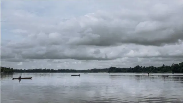 Des pêcheurs plongent en apnée à plusieurs mètres de profondeur sans aucun équipement pour récolter des palourdes au fond de la mangrove à l'embouchure du fleuve Congo, dans l'extrême sud-ouest de la République démocratique du Congo, le 22 octobre 2021.