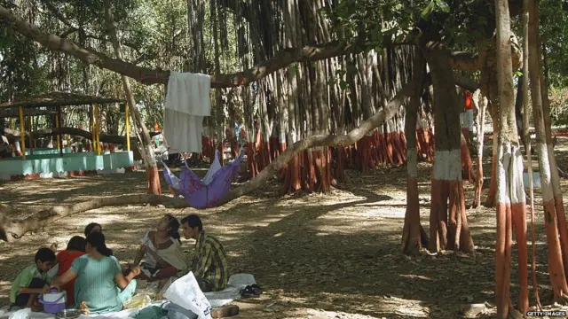 કબીરવડની તસવીર