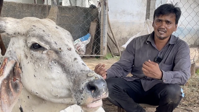 અબ્બાસભાઈ