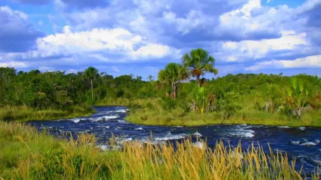 Rio Formoso, no Cerrado goiano