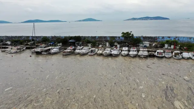 Морская слизь у берегов Турции