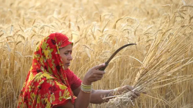પ્રતીકાત્મક તસવીર