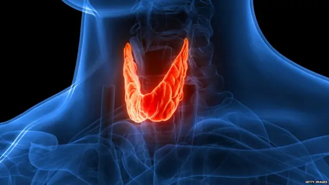 थायरॉइड