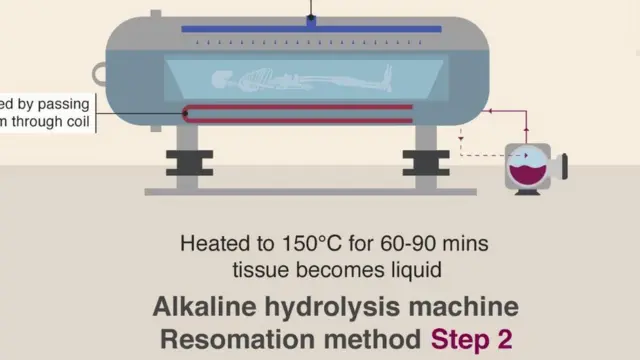 যুক্তরাষ্ট্র