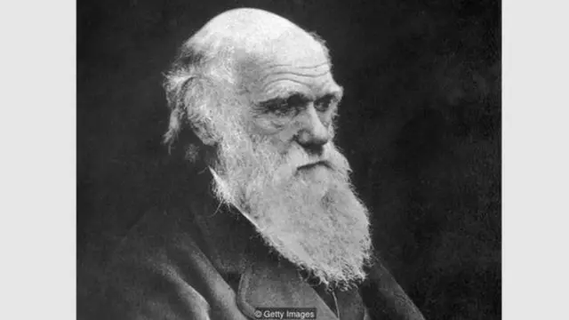 डार्विन