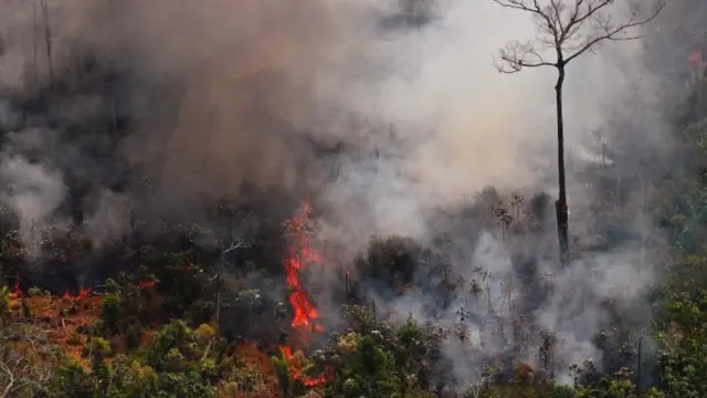 Amazônia queimando