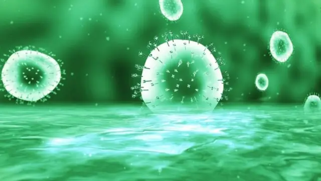 Iyo tutoga kenshi umubiri uragwirako udukoko tuzwi nka parasites, ariko siko twose tudukwegera ingorane