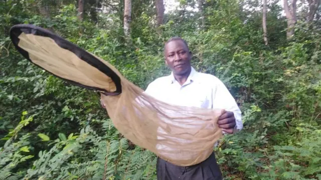 Mfanyabiashara wa vipepeo Kilifi Charo Ngumbao anasema biashara hii imewasaidia sana kuwaingizia kipato na kuweza kuyakidhi maisha yao