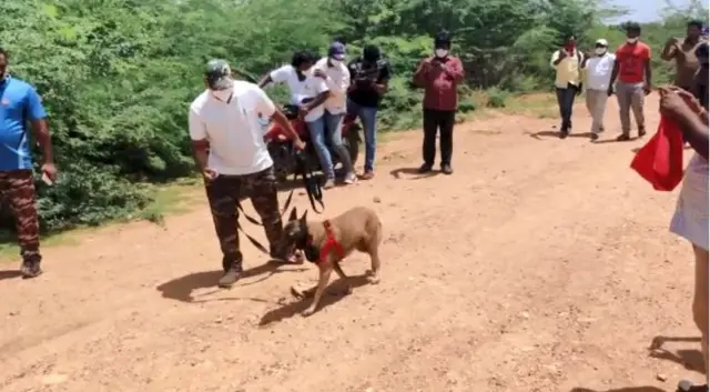 చిన్నారిని వెతికే పనిలో డాగ్ స్క్వాడ్