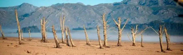 केप टाउन